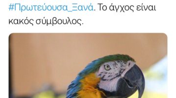 Ευρηματική απάντηση Πατούλη στα… παπαγαλάκια (εικόνα)