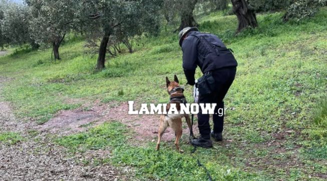 Στυλίδα: Εντοπίστηκε ζωντανός ο 55χρονος αγνοούμενος άνδρας