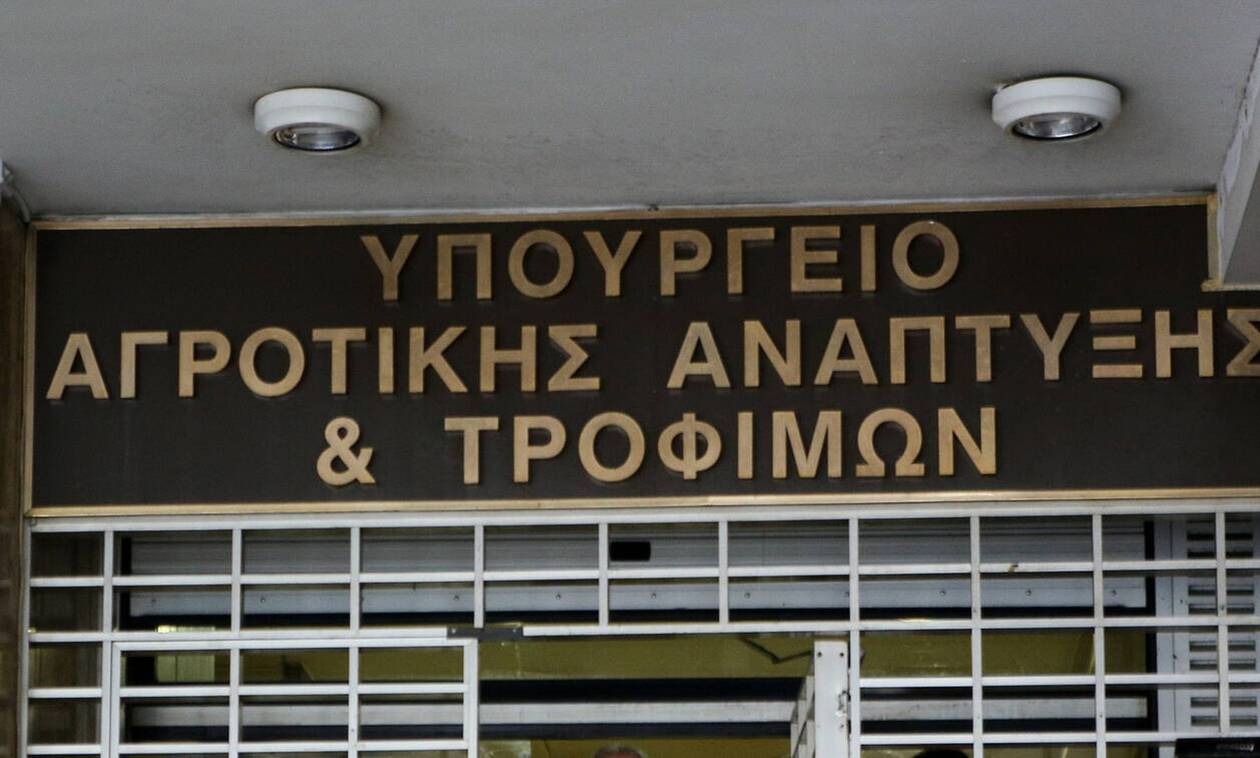Υπουργείο Αγροτικής Ανάπτυξης: Σε αυτά τα δυο e-mail θα γίνονται οι καταγγελίες για αισχροκέρδεια