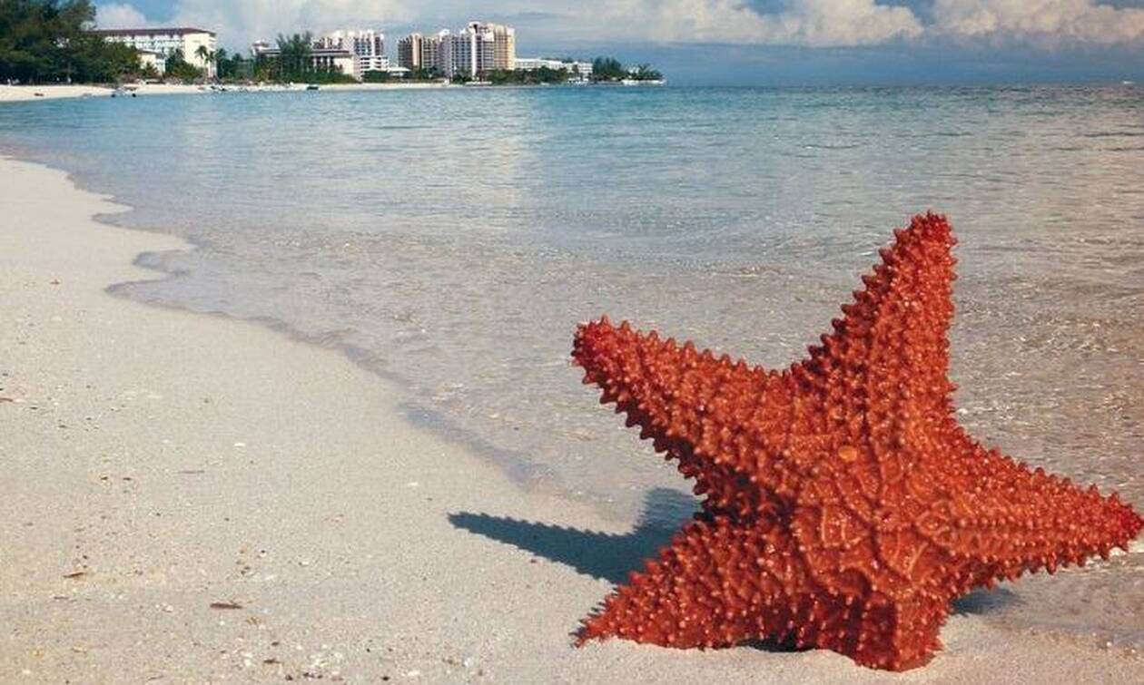 tropic bahames Μπαχαμες