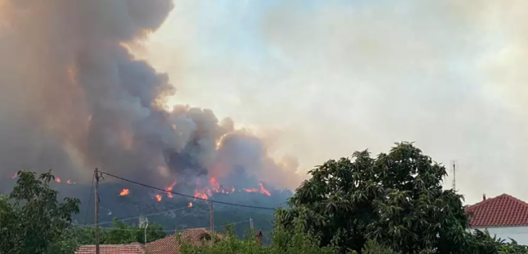 Φωτιά στον Έβρο: Δραματική η κατάσταση στο προστατευόμενο δάσος της Δαδιάς - Μεγάλη οικολογική καταστροφή