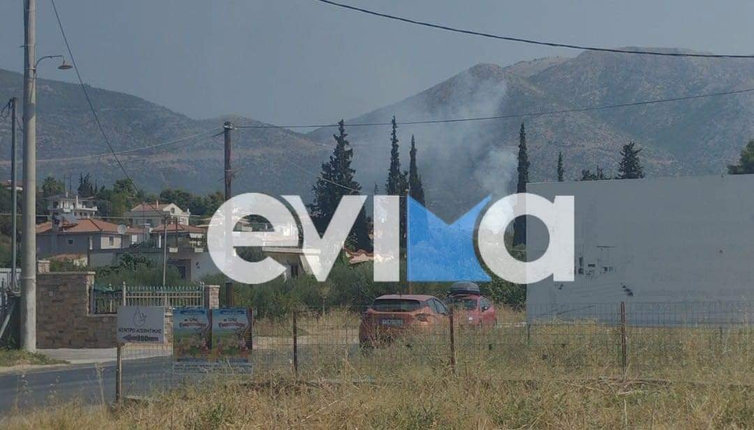 Εύβοια: Φωτιά στην Ερέτρια – Κοντά σε σπίτια οι φλόγες
