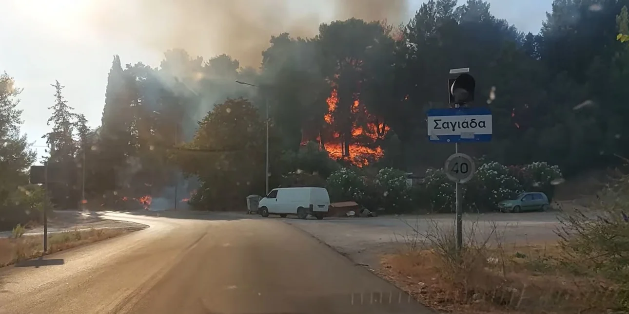 Φωτιά Σαγιάδα Θεσπρωτίας