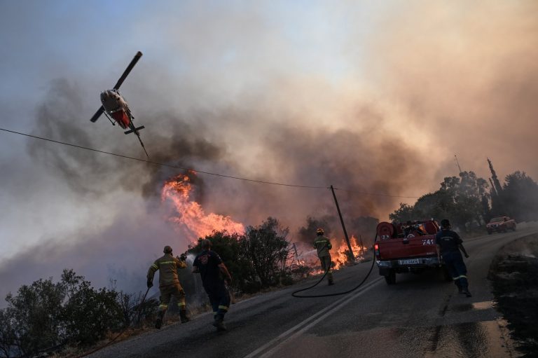 Φωτιά Φιλιάτες Θεσπρωτία