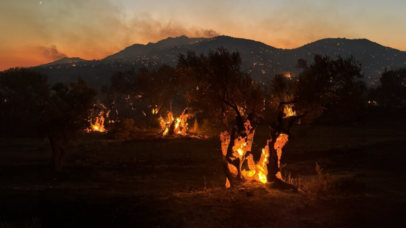 Φωτιά Ρέθυμνο