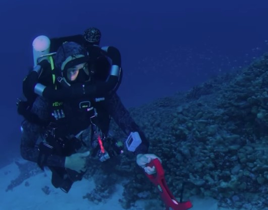 scuba βατραχάνθρωπος κοράλι