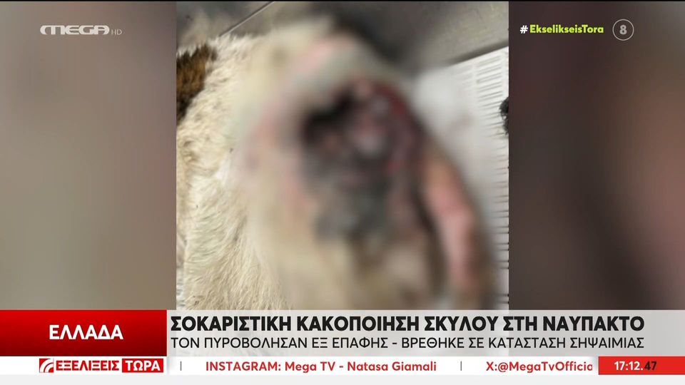 Ναύπακτος